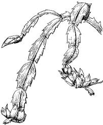 pagenumber_ebook=233,pagenumber_book=233