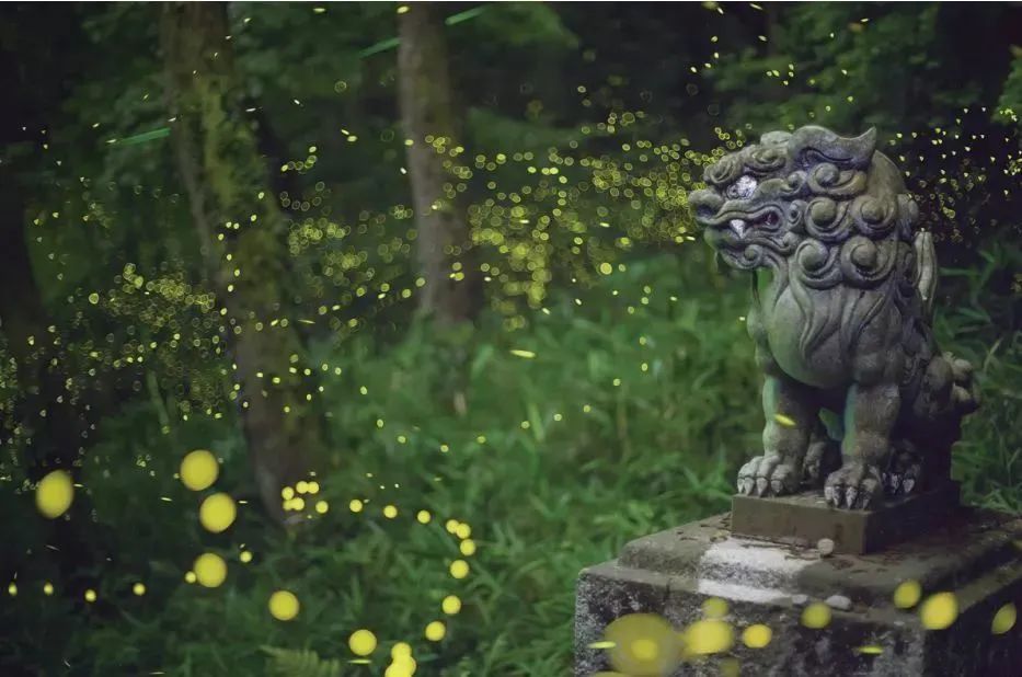 4f945bed17c5bfc23ee42cd96083a8ef 4f945bed17c5bfc23ee42cd96083a8ef.jpg