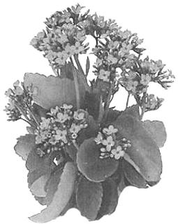 pagenumber_ebook=212,pagenumber_book=212