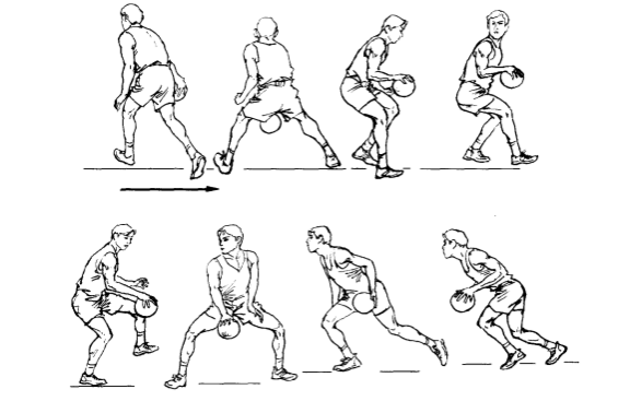 背后运球(图3—2—5),转身运球(图3—2—6),胯下运球(图3—2—7)等