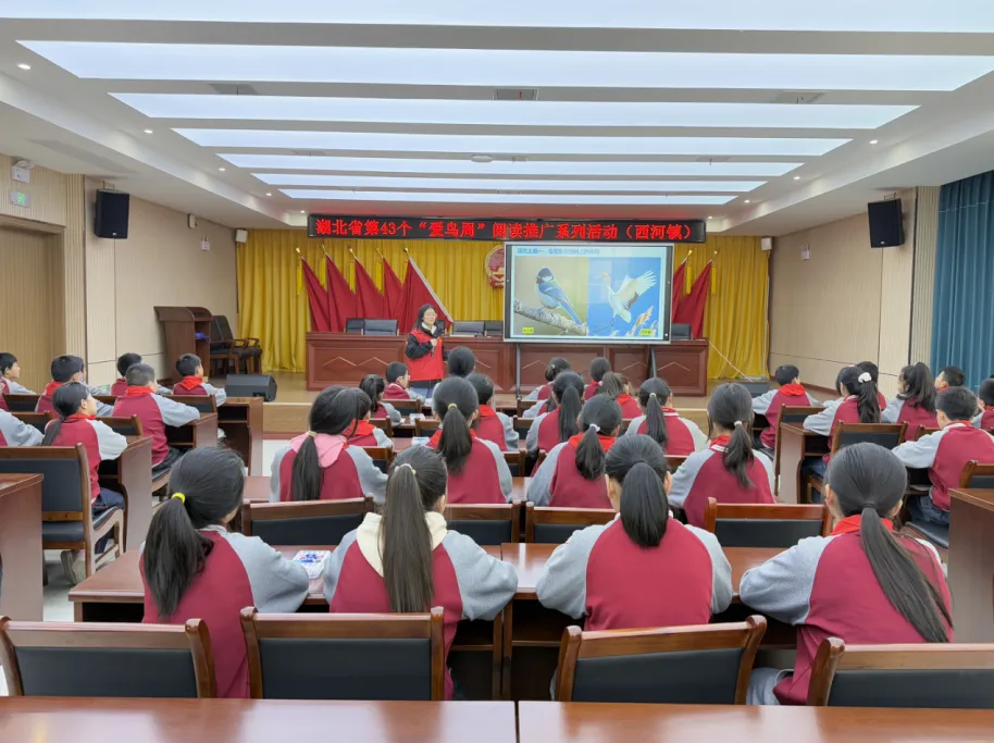 image image.png?v=1762620002033