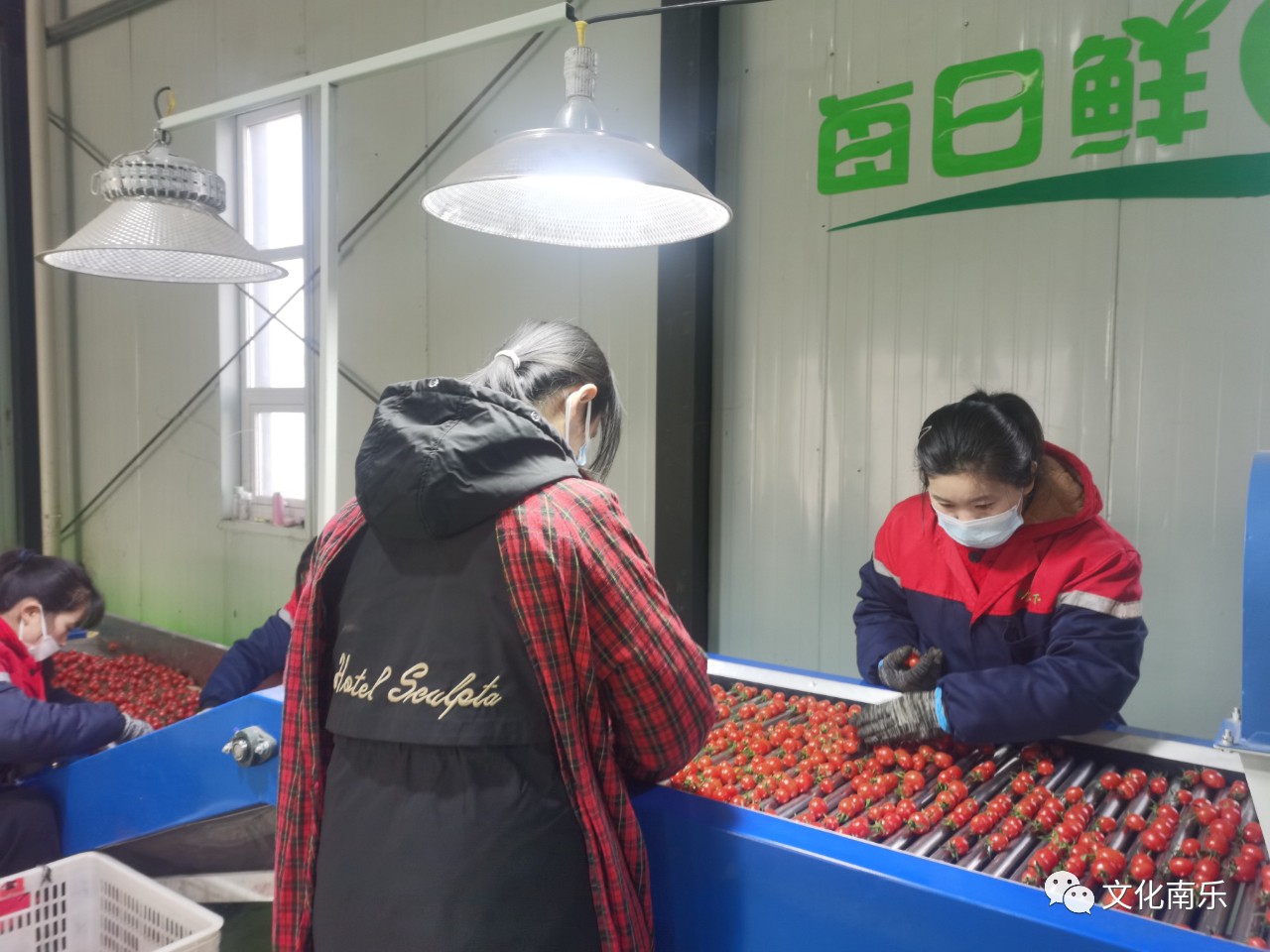 4bc346152a235d2809b808bb735c1c28 4bc346152a235d2809b808bb735c1c28.jpg