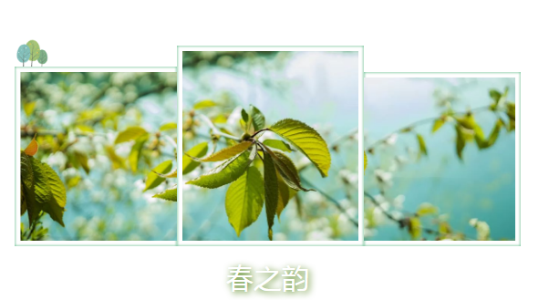 image image.png?v=1784632965246