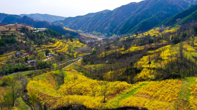 7fc057ff2f30c1d7fb226be33b56113 7fc057ff2f30c1d7fb226be33b56113.png