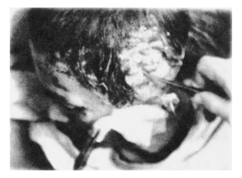 pagenumber_ebook=191,pagenumber_book=178