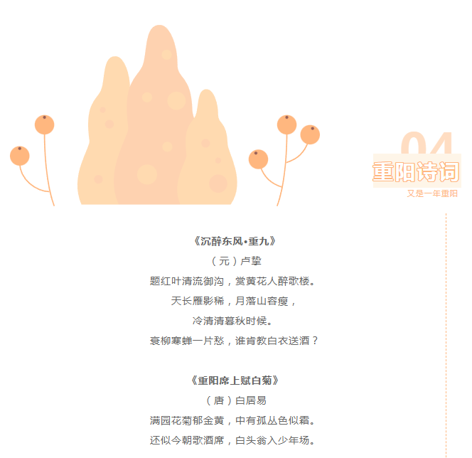 image.png?v=1750228987743