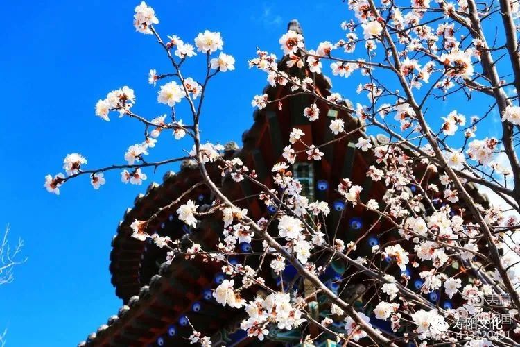 微信图片_20230414095858