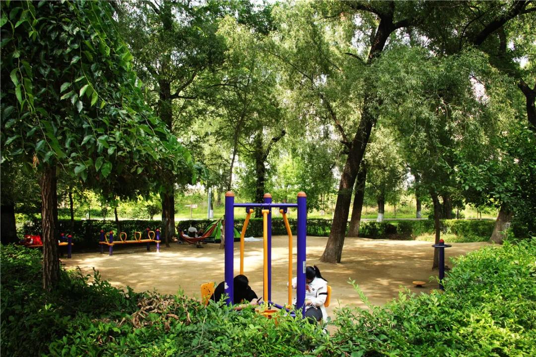 微信图片_20200727091022