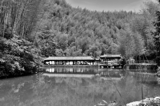 width=467,height=311,dpi=110