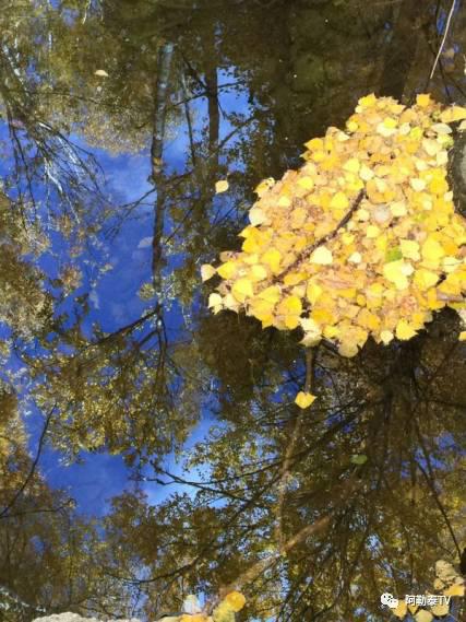 图片10.jpg?v=1765652618641