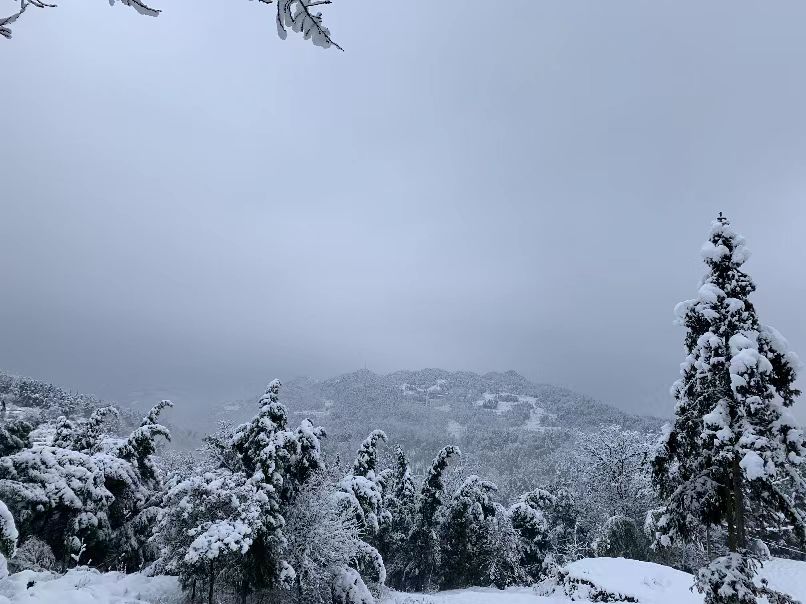 94a7c149a306e090559d2cc19002931