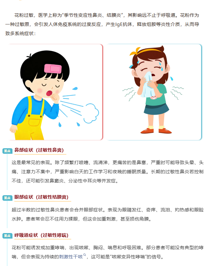 image.png?v=1774104526768