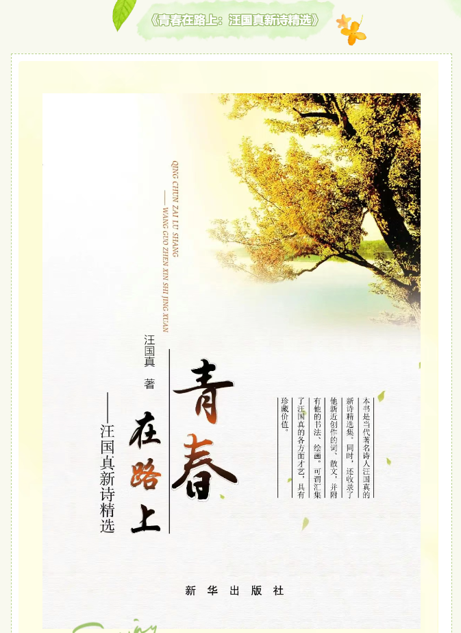 image.png?v=1746512683213