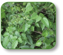 pagenumber_ebook=93,pagenumber_book=80