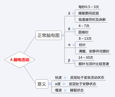 脑电活动.jpg