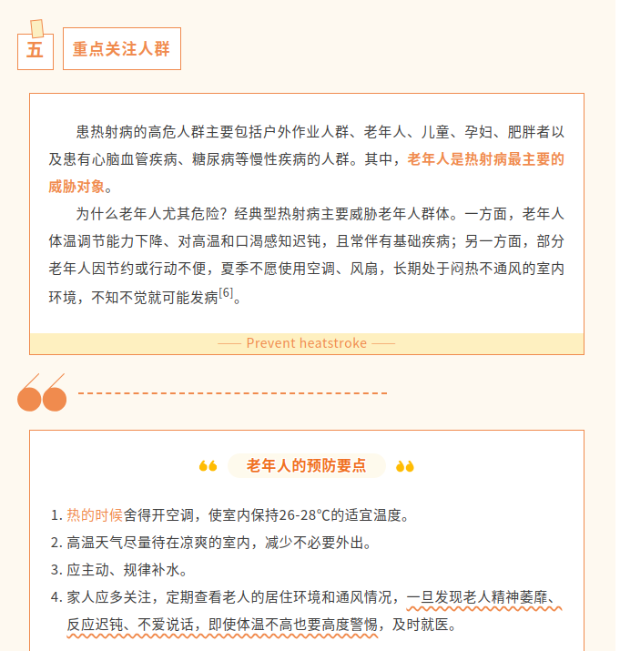 image.png?v=1786662449512