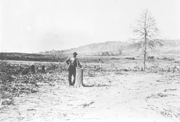 pagenumber_ebook=394,pagenumber_book=372