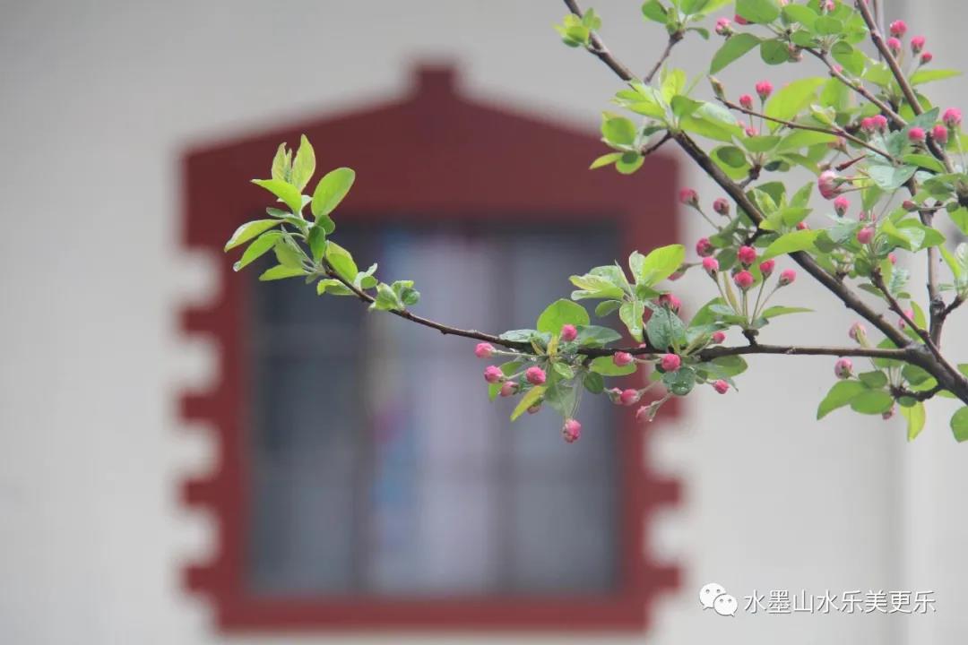 微信图片_20210404214037