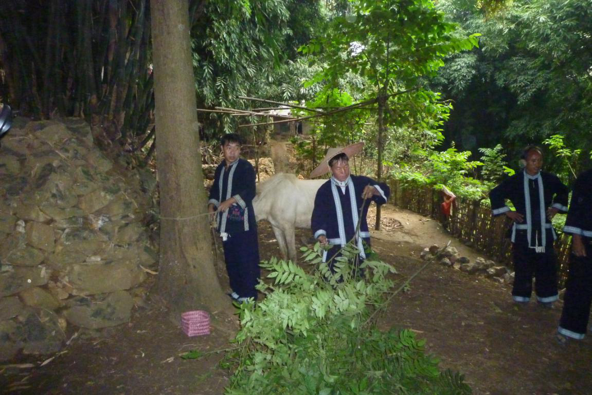 5 5.png?v=1762788189276