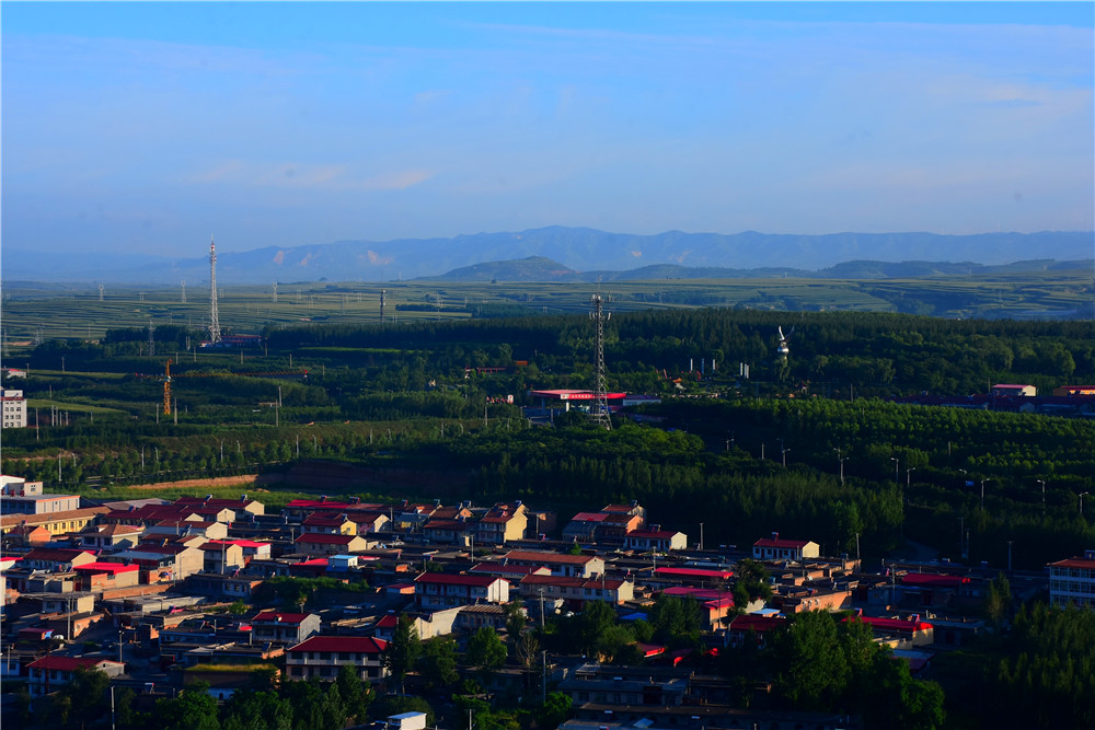 周锦琪《城在林中》