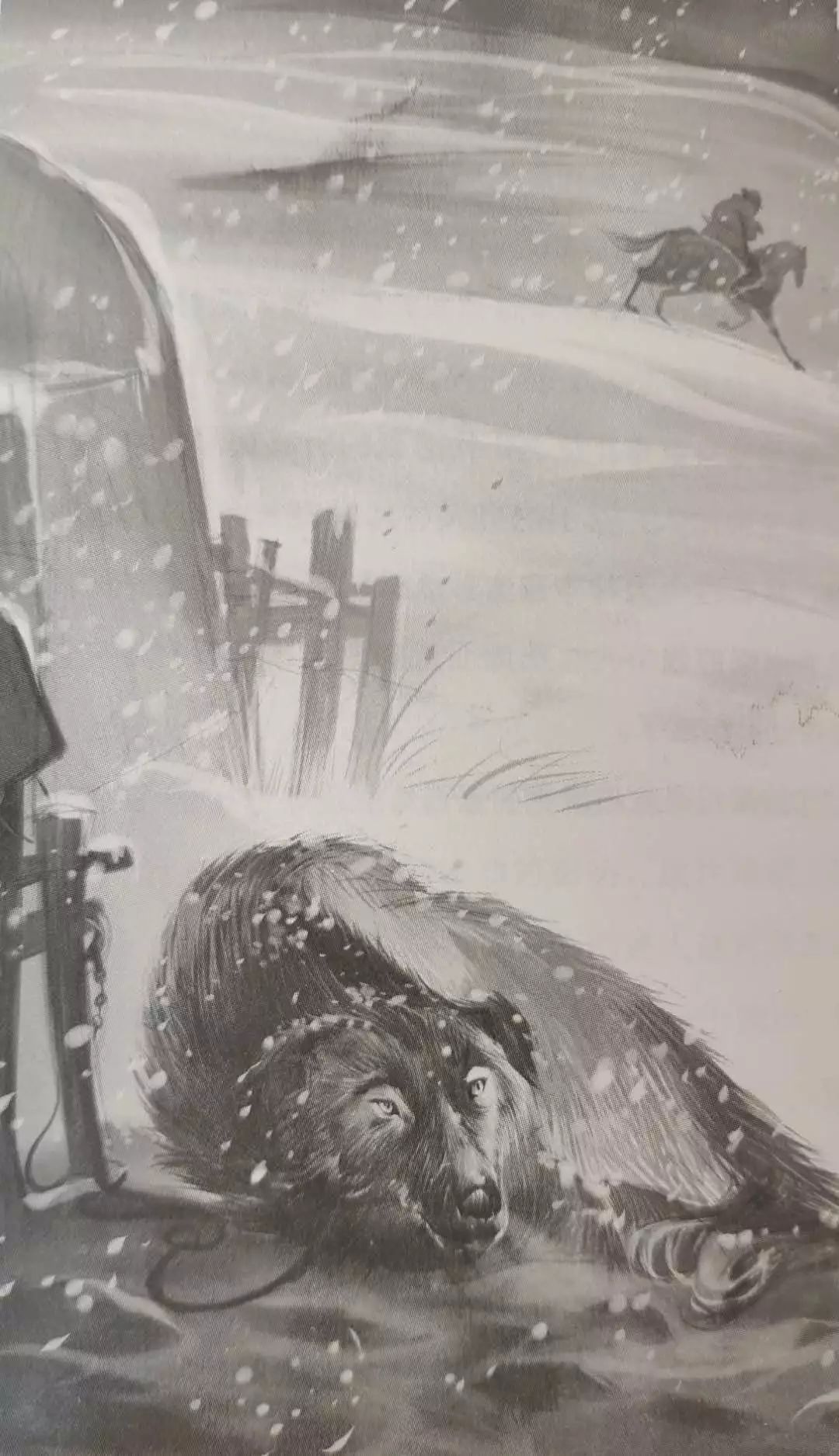 a94b350533e105dd0e56395896be8dbb a94b350533e105dd0e56395896be8dbb.jpg