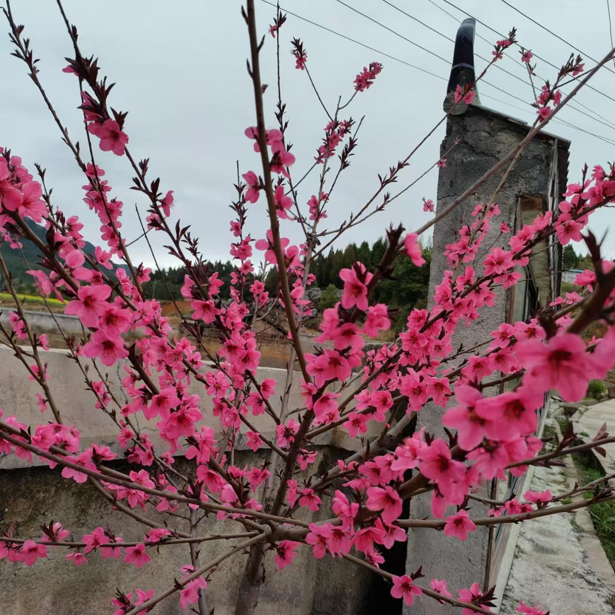 图片48 图片48.png