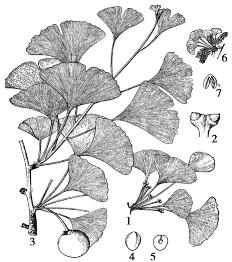 pagenumber_ebook=71,pagenumber_book=71