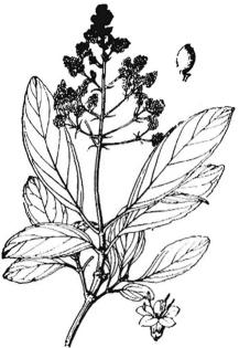 pagenumber_ebook=178,pagenumber_book=178