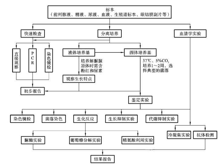pagenumber_ebook=100,pagenumber_book=93