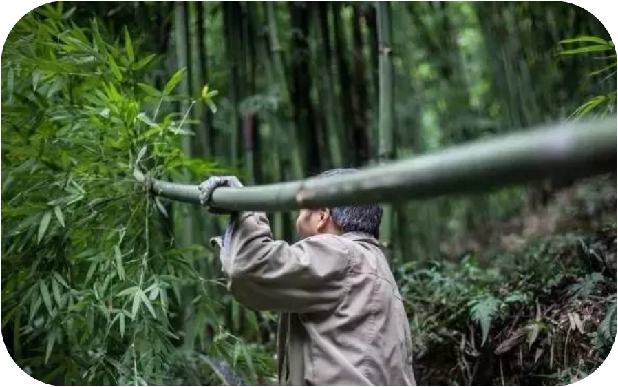 微信图片_20200903215341 微信图片_20200903215341.png