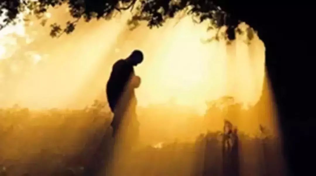 ed268c134e08c042fa020a794c2d180e ed268c134e08c042fa020a794c2d180e.jpg