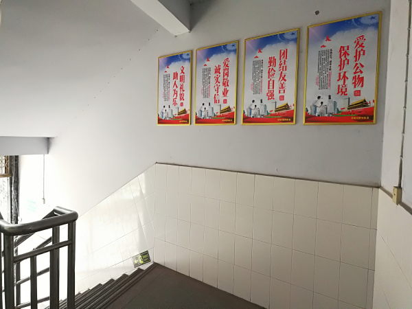 IMG_20171214_150409.jpg?v=1762255378165