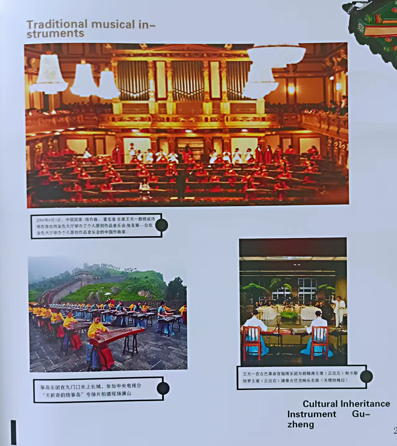 image image.png?v=1770173641955