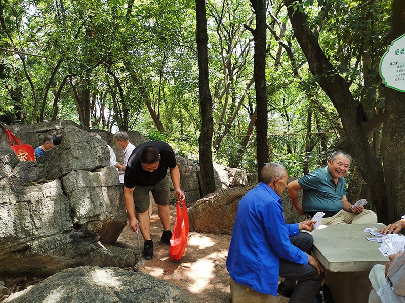 502d19995fd08f826784feb2a598fb7