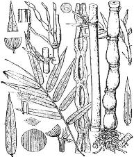 pagenumber_ebook=126,pagenumber_book=126