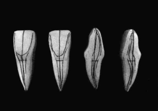 pagenumber_ebook=195,pagenumber_book=186