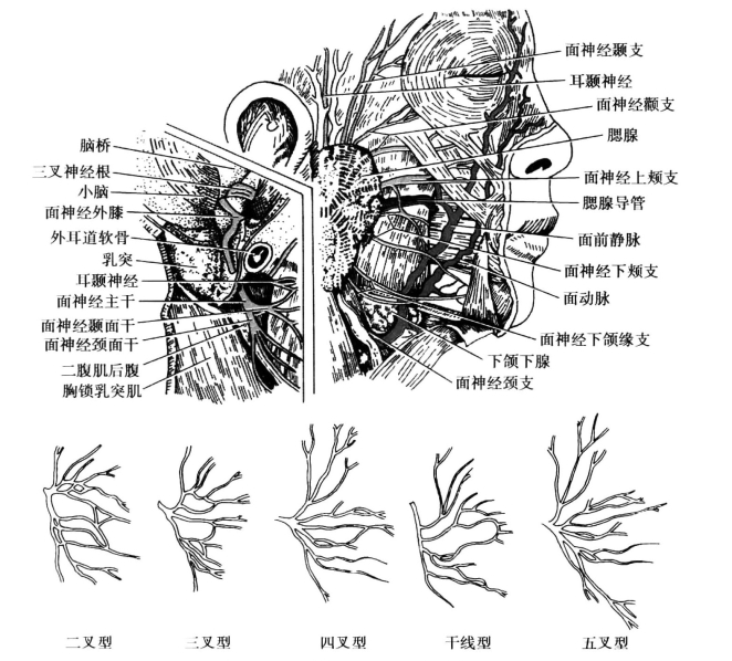 pagenumber_ebook=98,pagenumber_book=89