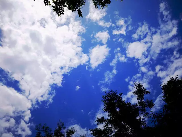 20170601113621_8yh9fl14a8 20170601113621_8yh9fl14a8.png?v=1773792331837