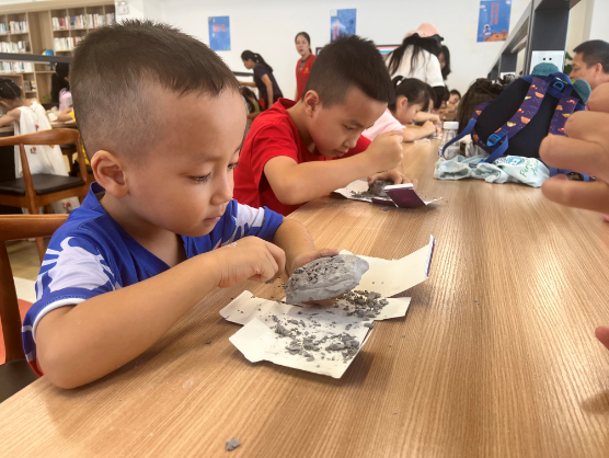 image image.png?v=1770968843644