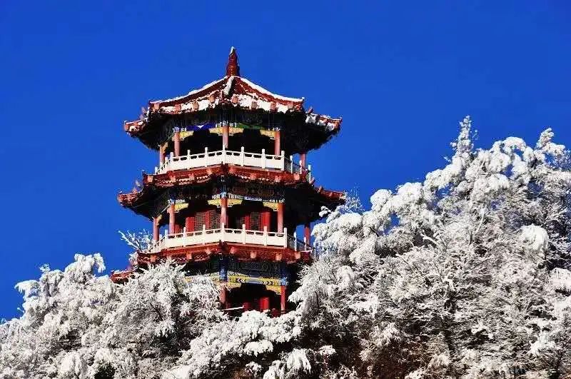 微信图片_20211116120837 微信图片_20211116120837.jpg