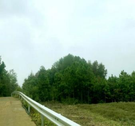 图片 3 图片 3.png