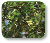 pagenumber_ebook=53,pagenumber_book=40