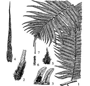 pagenumber_ebook=288,pagenumber_book=288