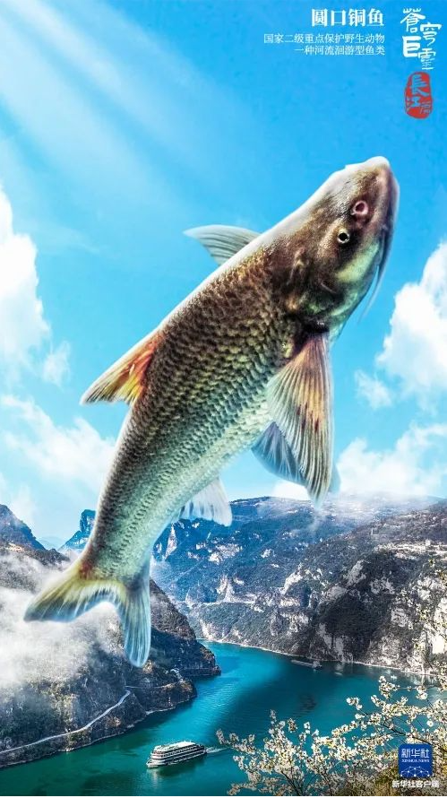 image image.png?v=1763569565657