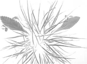 pagenumber_ebook=279,pagenumber_book=279