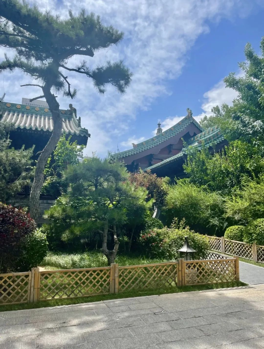 65a841b6a65e6dde36857380ea2a02af_640_wx_fmt=jpeg&wxfrom=5&wx_lazy=1&wx_co=1 65a841b6a65e6dde36857380ea2a02af_640_wx_fmt=jpeg&wxfrom=5&wx_lazy=1&wx_co=1.jpg