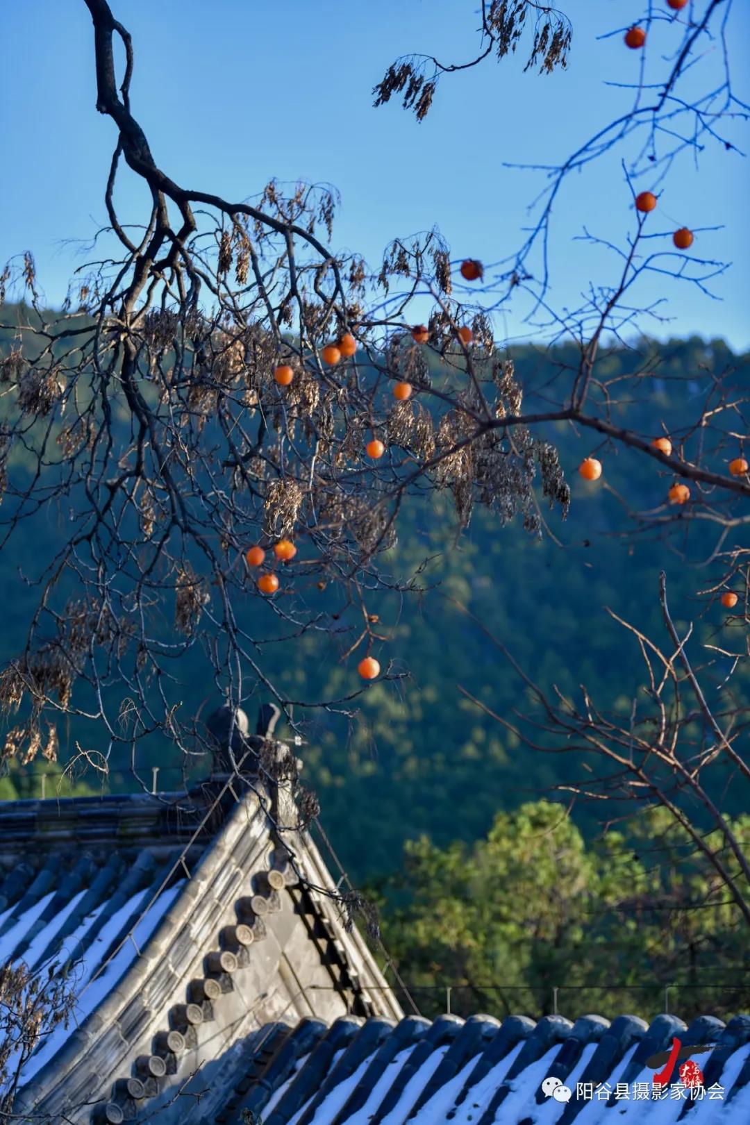 微信图片_20211222111354