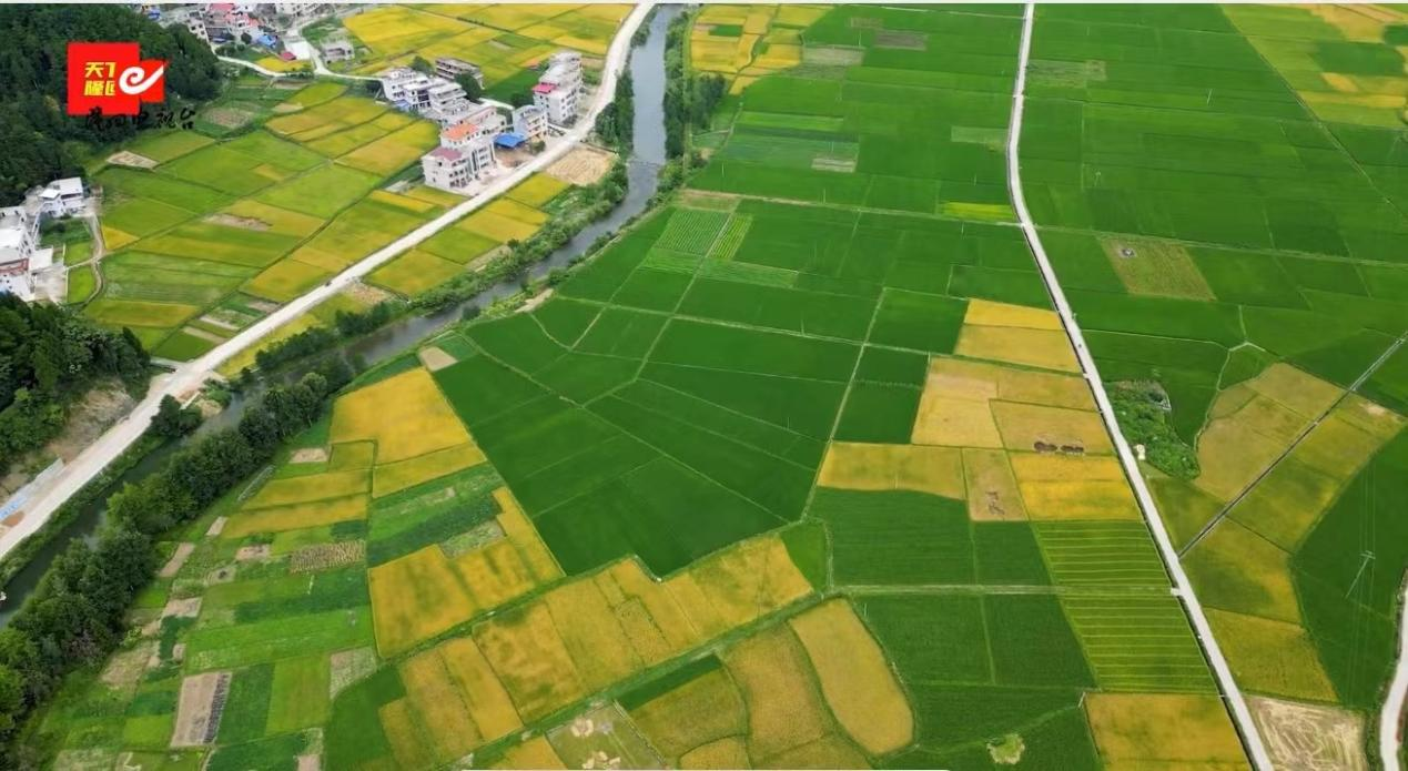 图片42 图片42.png