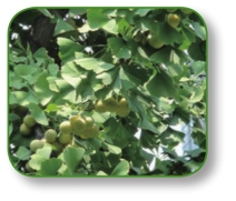 pagenumber_ebook=225,pagenumber_book=212