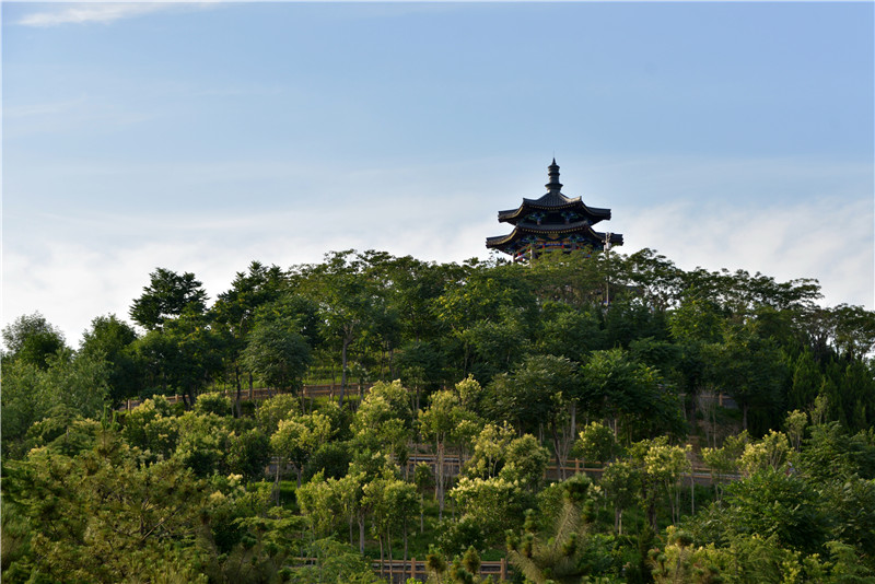 微信图片_202009010931572 微信图片_202009010931572.jpg